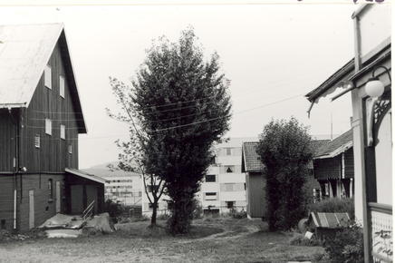 Nedre fossum 1975